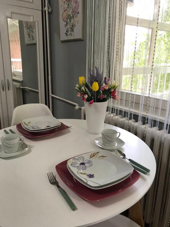 Apartman Studio Pavle I Petra Sremski Karlovci Exterior foto