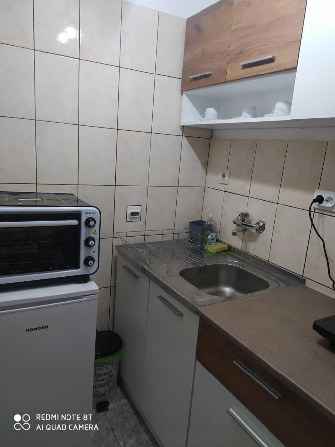 Apartman Studio Pavle I Petra Sremski Karlovci Exterior foto